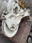 Picture of Roller Sheave Head Assembly